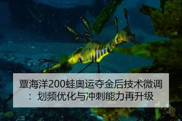 tan-hai-yang-wa-ao-yun-duo-jin-hou-ji-shu-wei-diao-hua-pin-you-hua-yu-chong-ci-neng-li-zai-sheng-ji-2-502.jpg